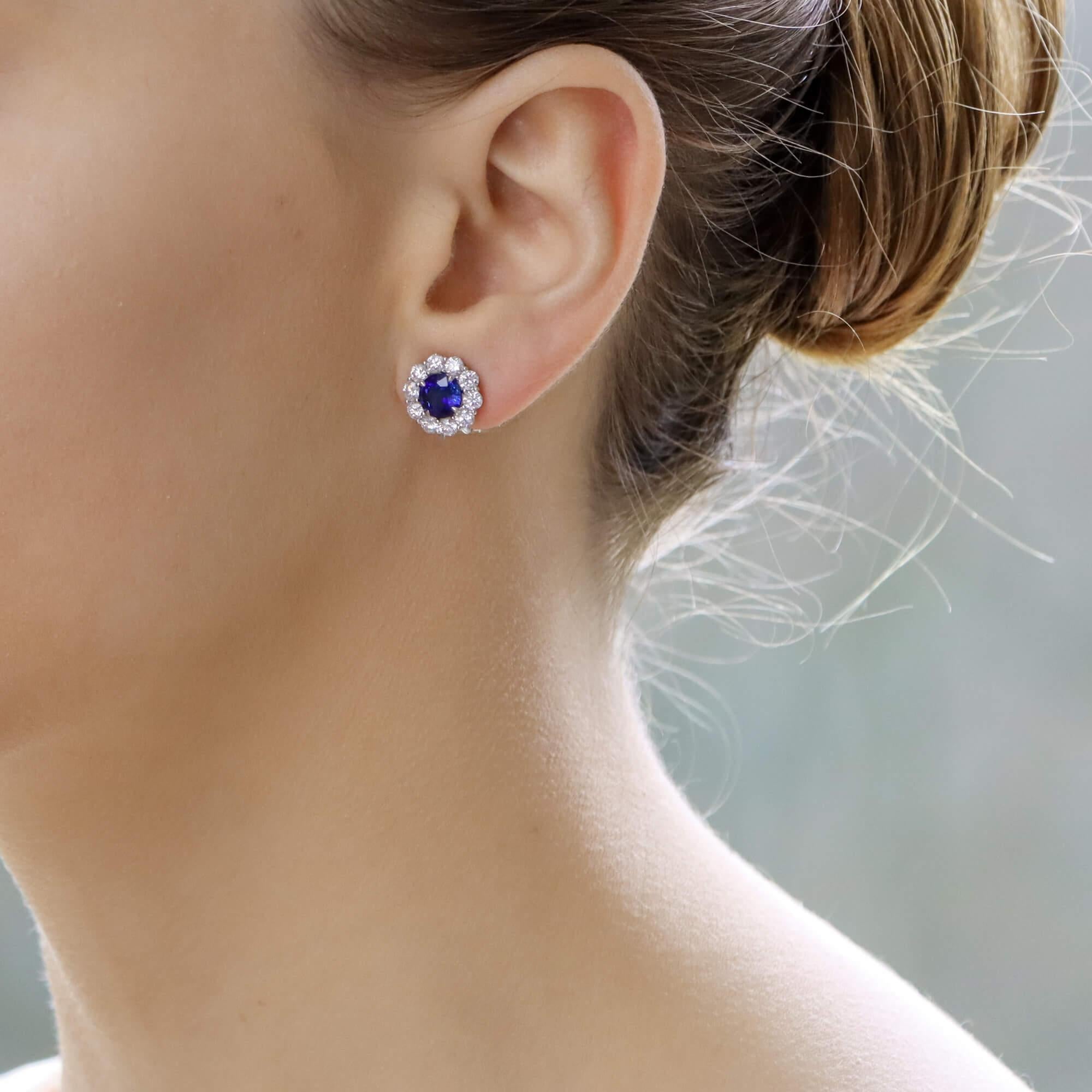 An elegant pair of sapphire and diamond ear studs set in platinum. Gorgeous round natural Burmese sapphires totalling 2.64cts surrounded by a border of fine quality sparkly round brilliant cut diamonds totalling 1.65cts. 

These earrings are