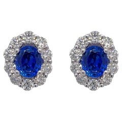 Sapphire & Diamond Halo Stud Earring in 14k White Gold