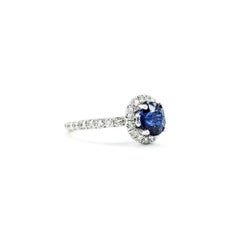 Sapphire & Diamond Ring in 14k White Gold