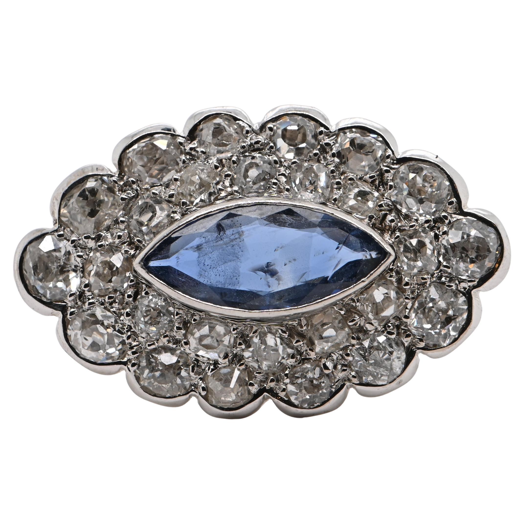 Sapphire Diamonds White Gold 18 Carats Brooche