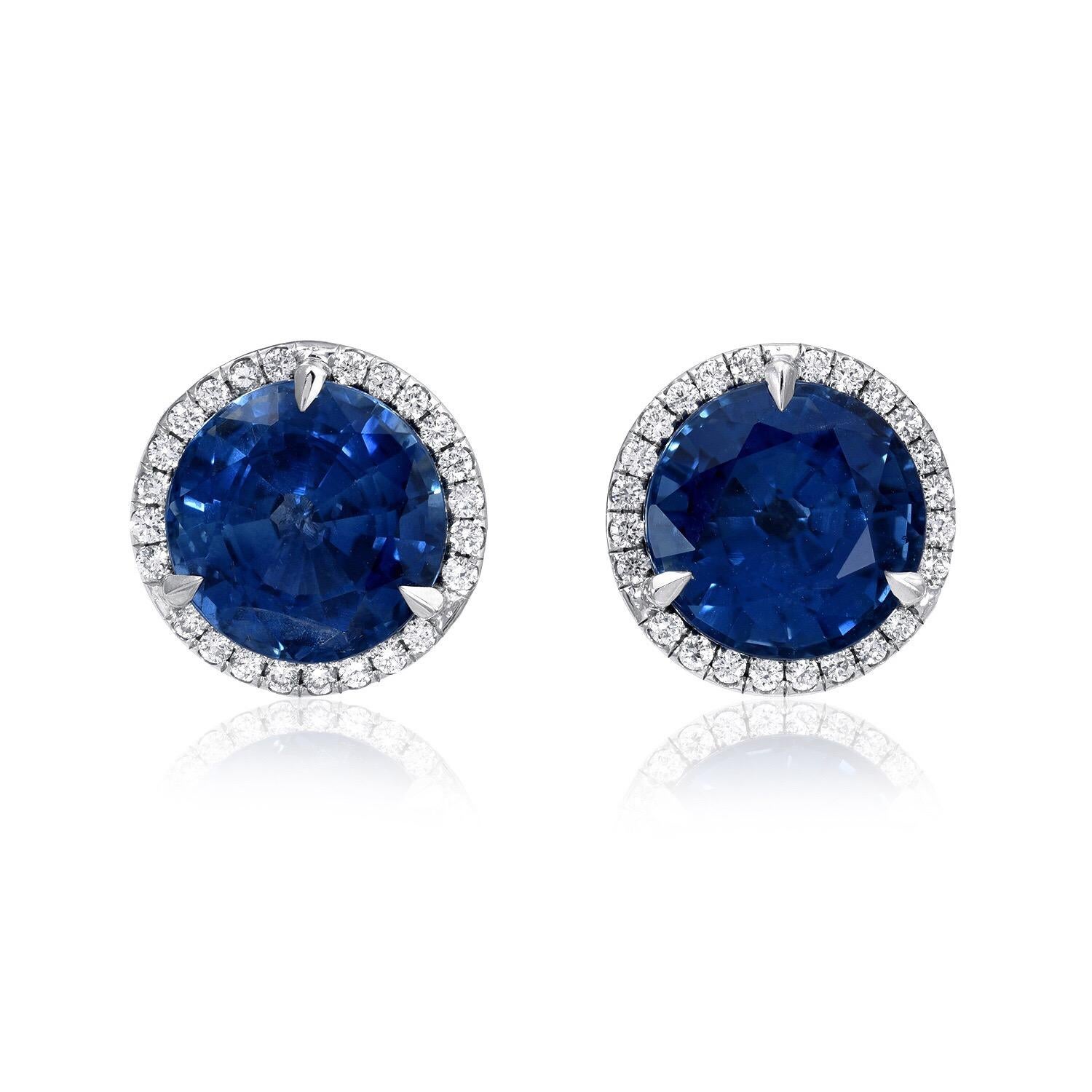 Modern Sapphire Earrings Round Studs 4.12 Carat