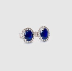 Sapphire Halo Earrings