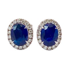Sapphire Halo Earrings