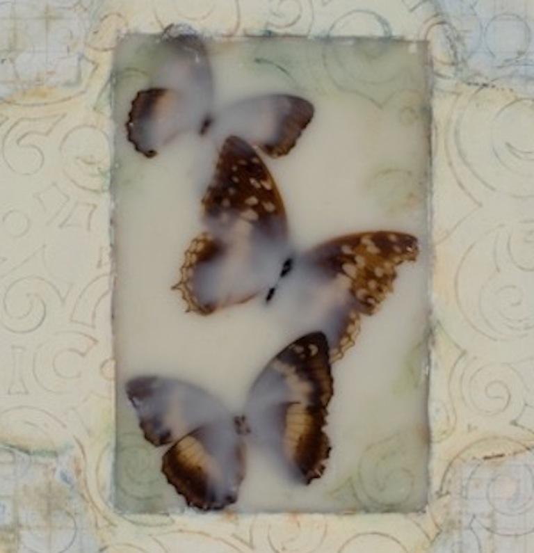 Untitled (3 Butterflies) : Encaustic work of art - Abstract Mixed Media Art by Sara Crisp