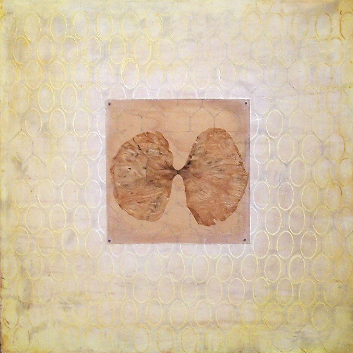 Untitled (Ellispes) : Encaustic work of art - Mixed Media Art by Sara Crisp