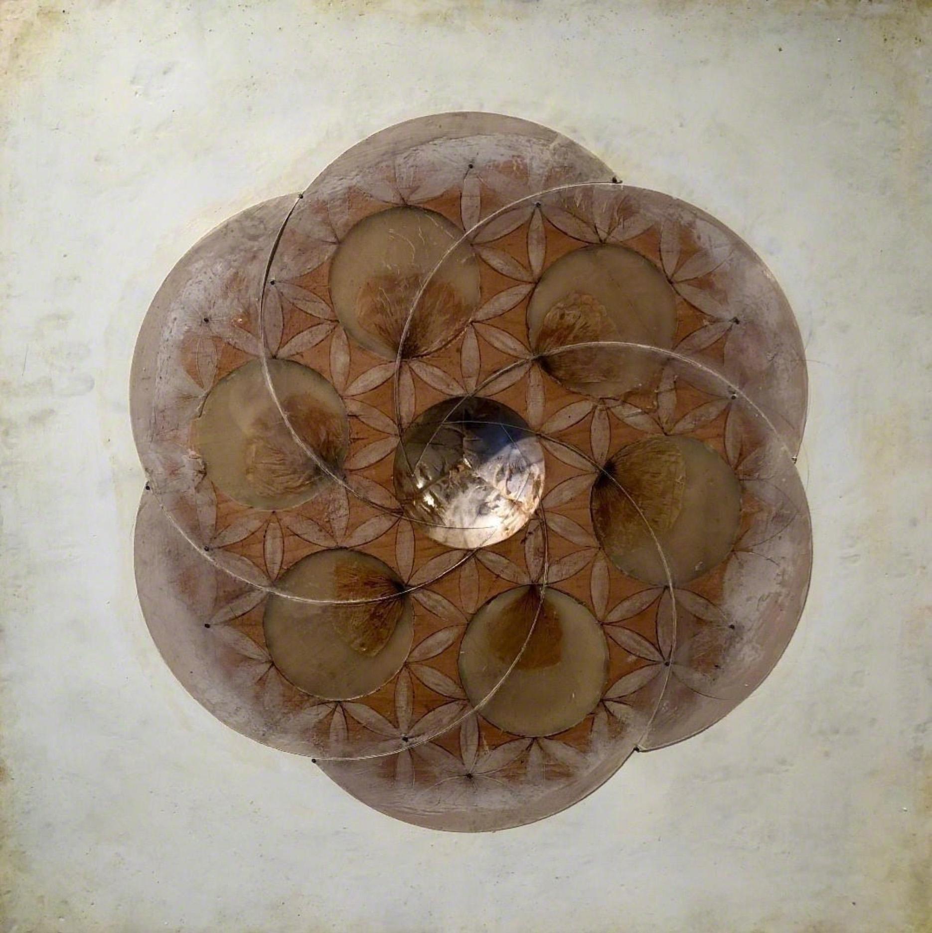 Untitled (Gourd Spiral #1) : Encaustic work of art - Mixed Media Art by Sara Crisp