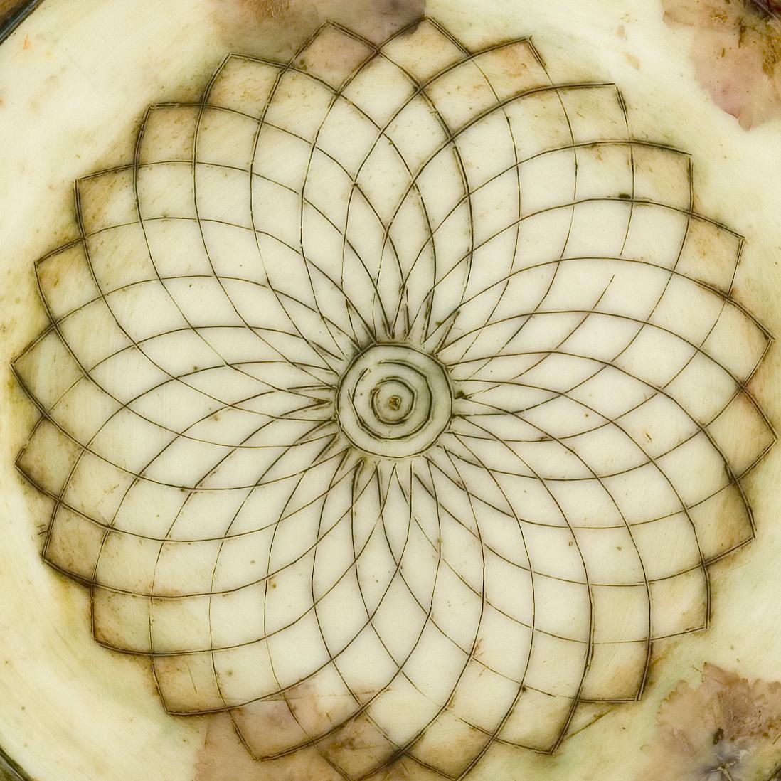 Sans titre (Hydrangea) : Œuvre d'art à l'encaustique - Géométrique abstrait Mixed Media Art par Sara Crisp