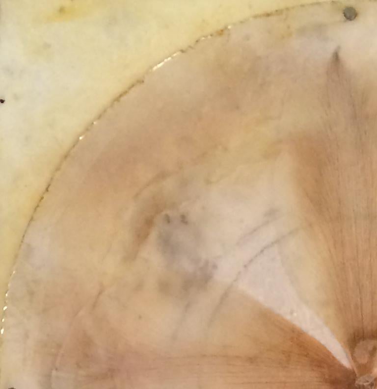 Encaustic work of art by an acclaimed Maine artist Sara Crisp. 

Sara Crisp draws inspiration from the delicate balance between the natural and the human-made worlds. Through masterful use of encaustic, an ancient method of painting using wax and