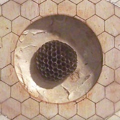 Untitled (Wasp Hive) : œuvre d'art abstraite en techniques mixtes