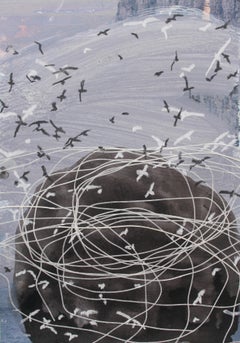 Bempton Cliffs: Painting of flight with Collage on Postcard by Sara Dudman RWA