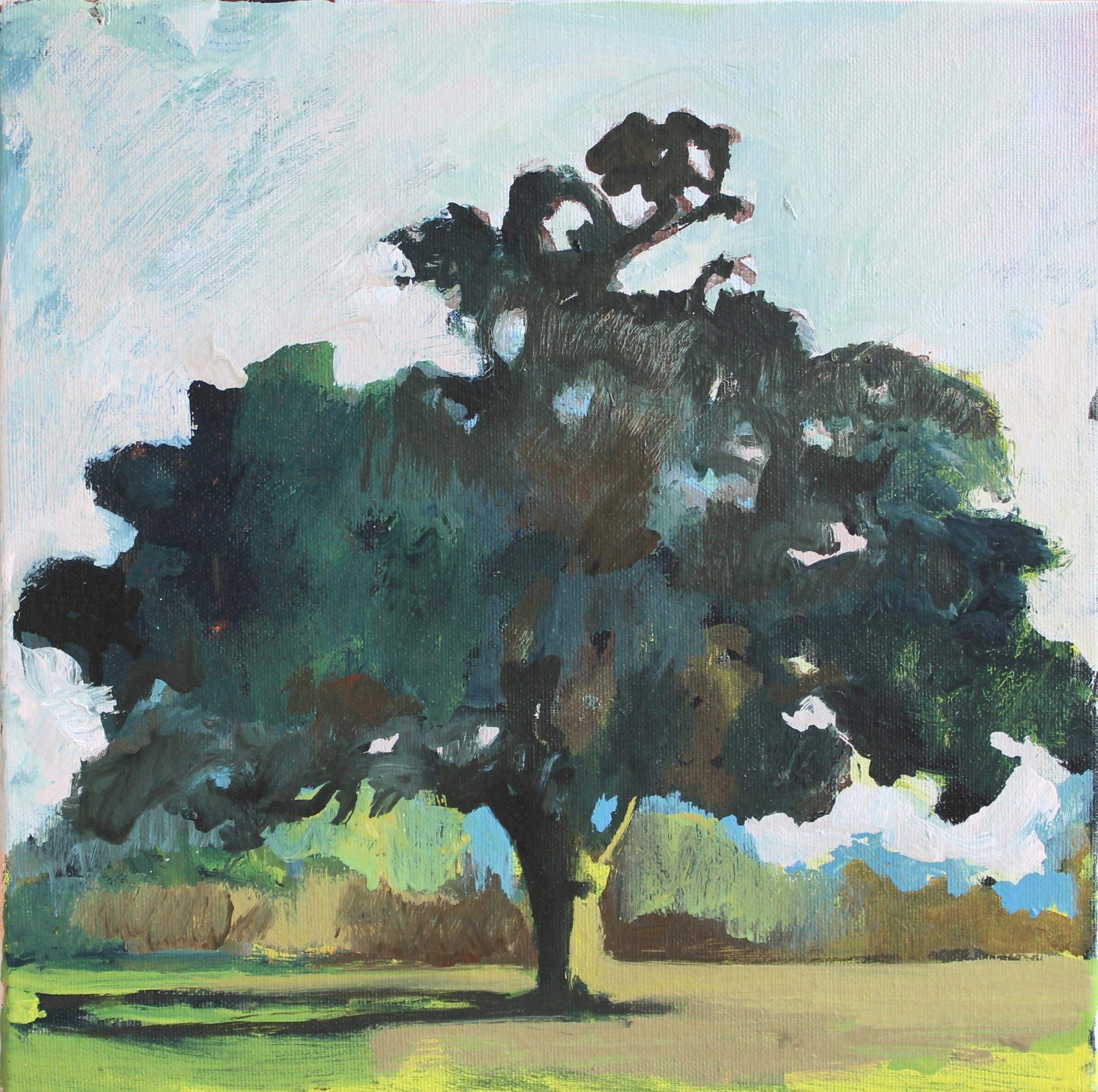 This painting is a study on canvas, float-mounted framed in box frame with glass.  Sara's series of tree studies are responses to the ancient oaks which populate the hills, near Sara’s studio where she walks, breathes and explores her own local