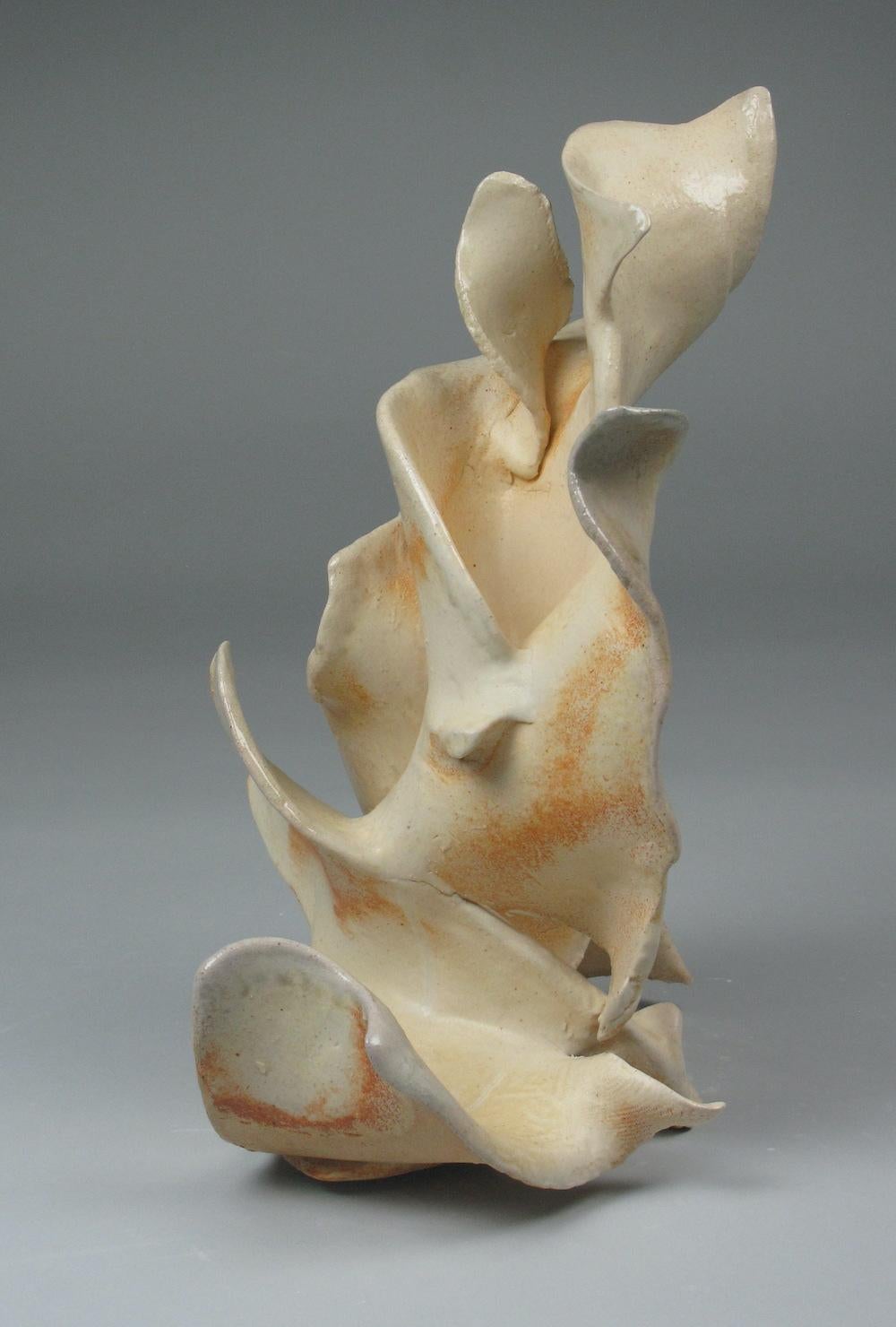 Sara Fine-Wilson 