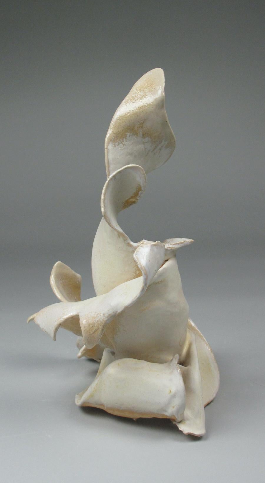 Sara Fine-Wilsons 