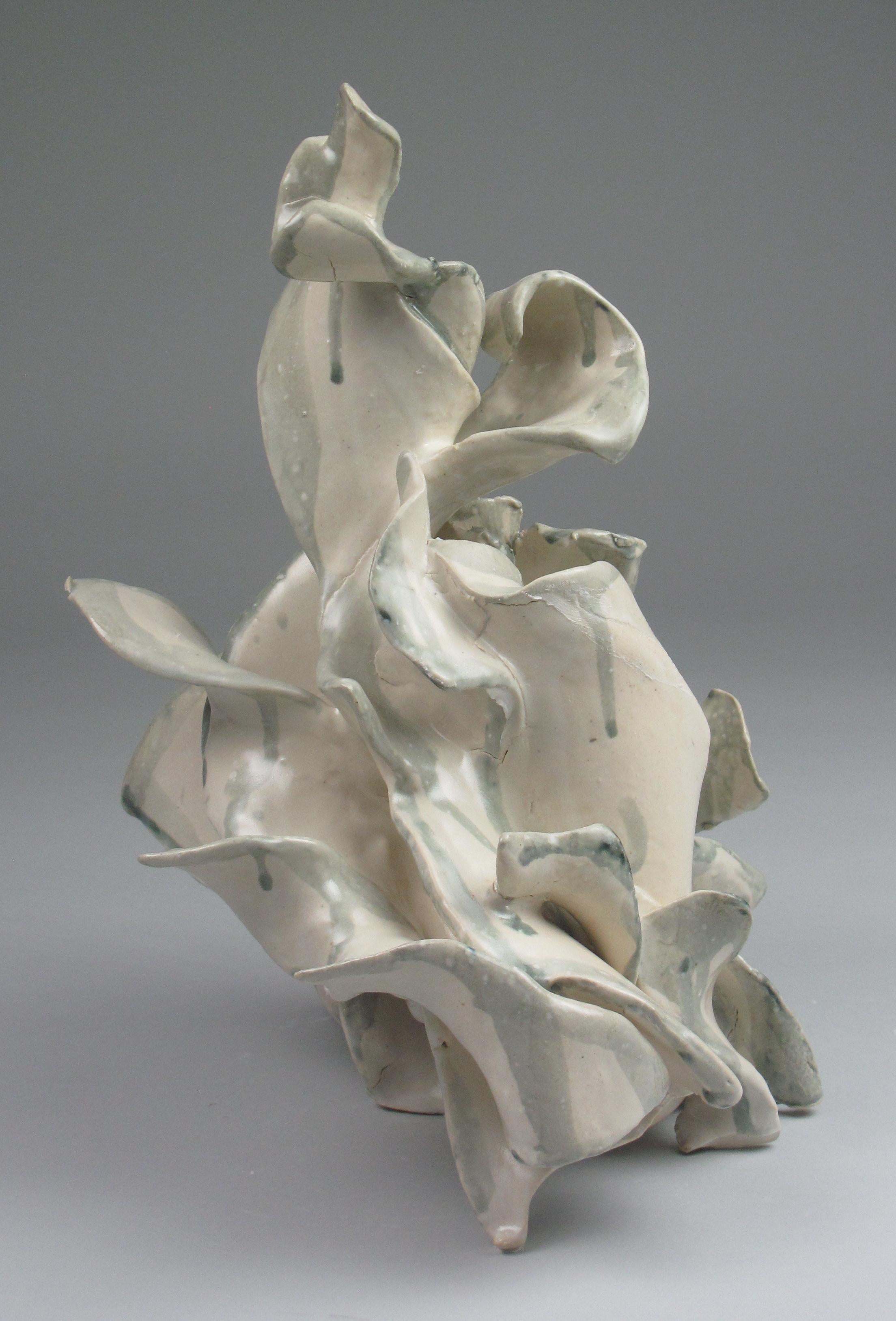 Sara Fine-Wilson's 