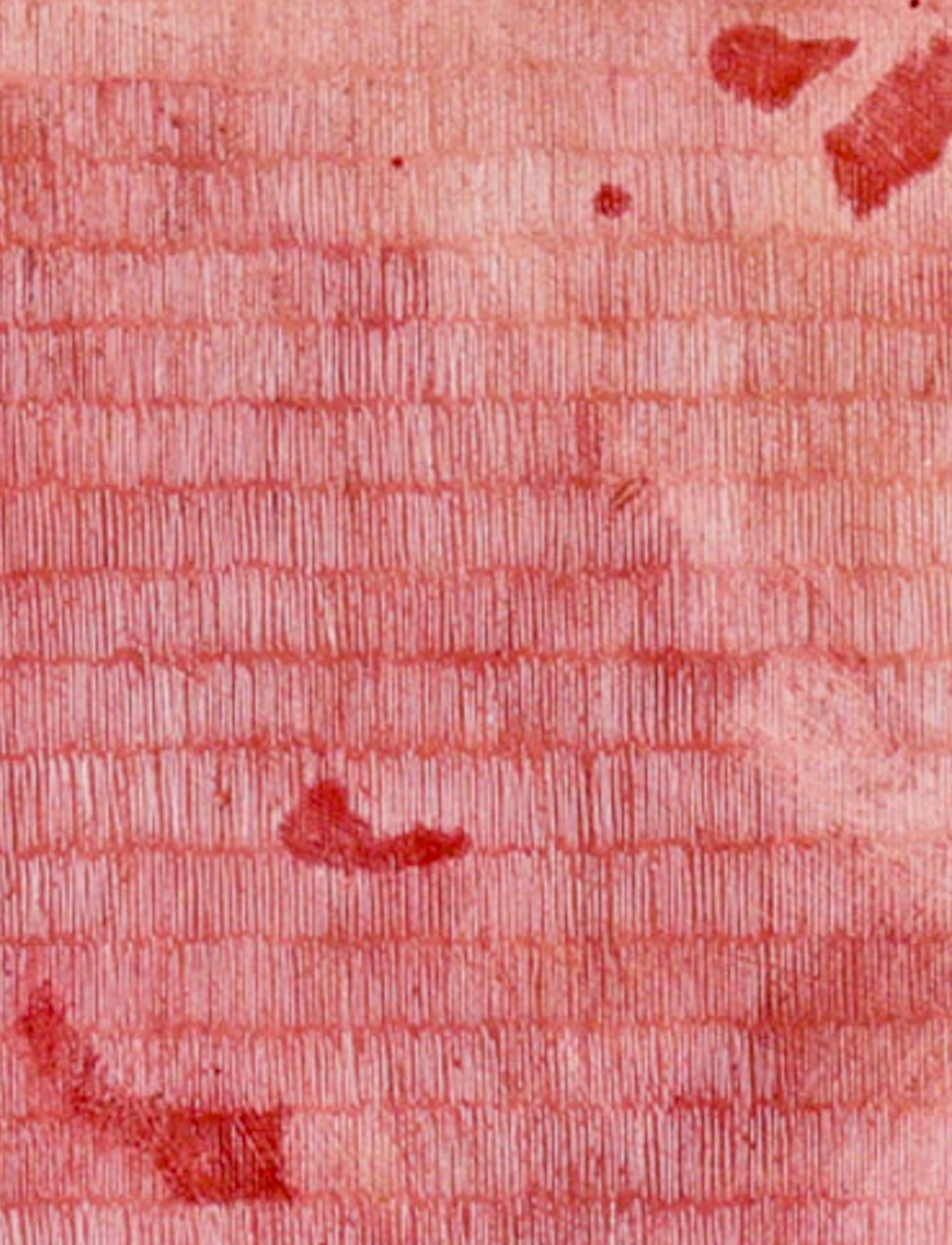 La défaite de Mara, peinture abstraite à grande échelle en cire et tempera à l'œuf - Rose Abstract Painting par Sara Freeman