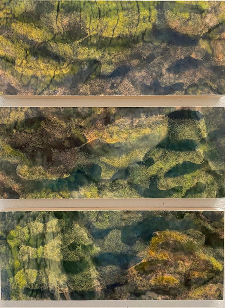 Sara Garden Armstrong Abstract Painting - "Cosmo Memories 8", Photo-Collage Nature Painting Mounted on Wood Panel