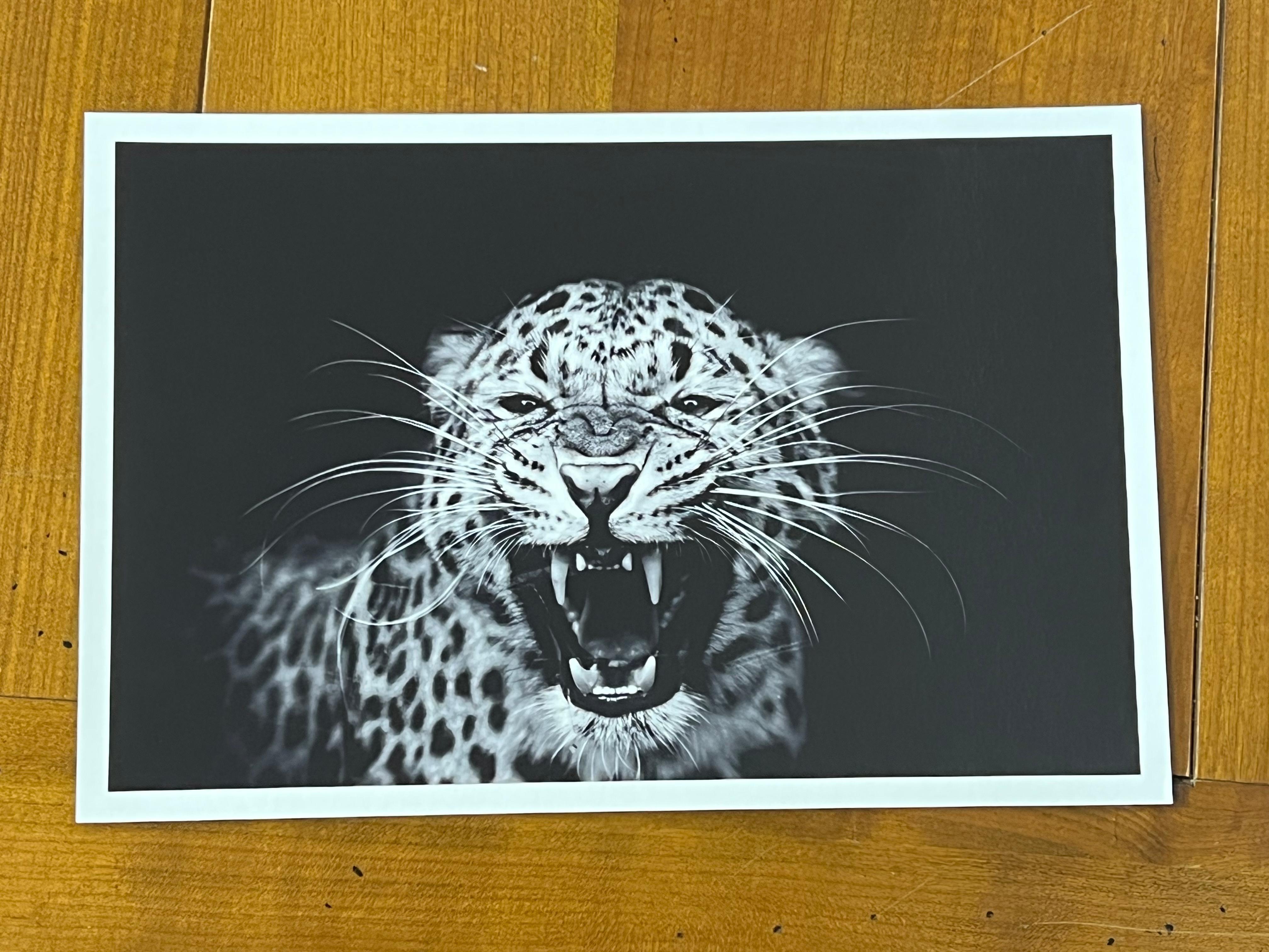 Névrosisme - Photograph Contemporaneo di Sara Hoummady