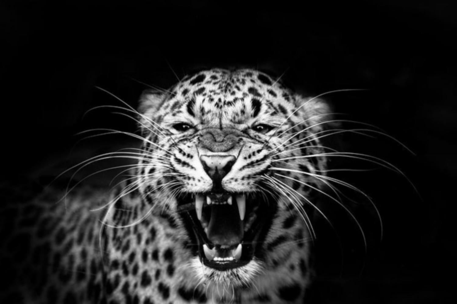 Névrosisme - Photograph di Sara Hoummady