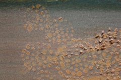 "Tchaikovsky Series No. 14"