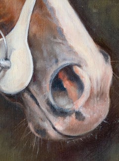 Head of Sergeant Cecil, a famous British horse, by Sarah Aspinall, signed