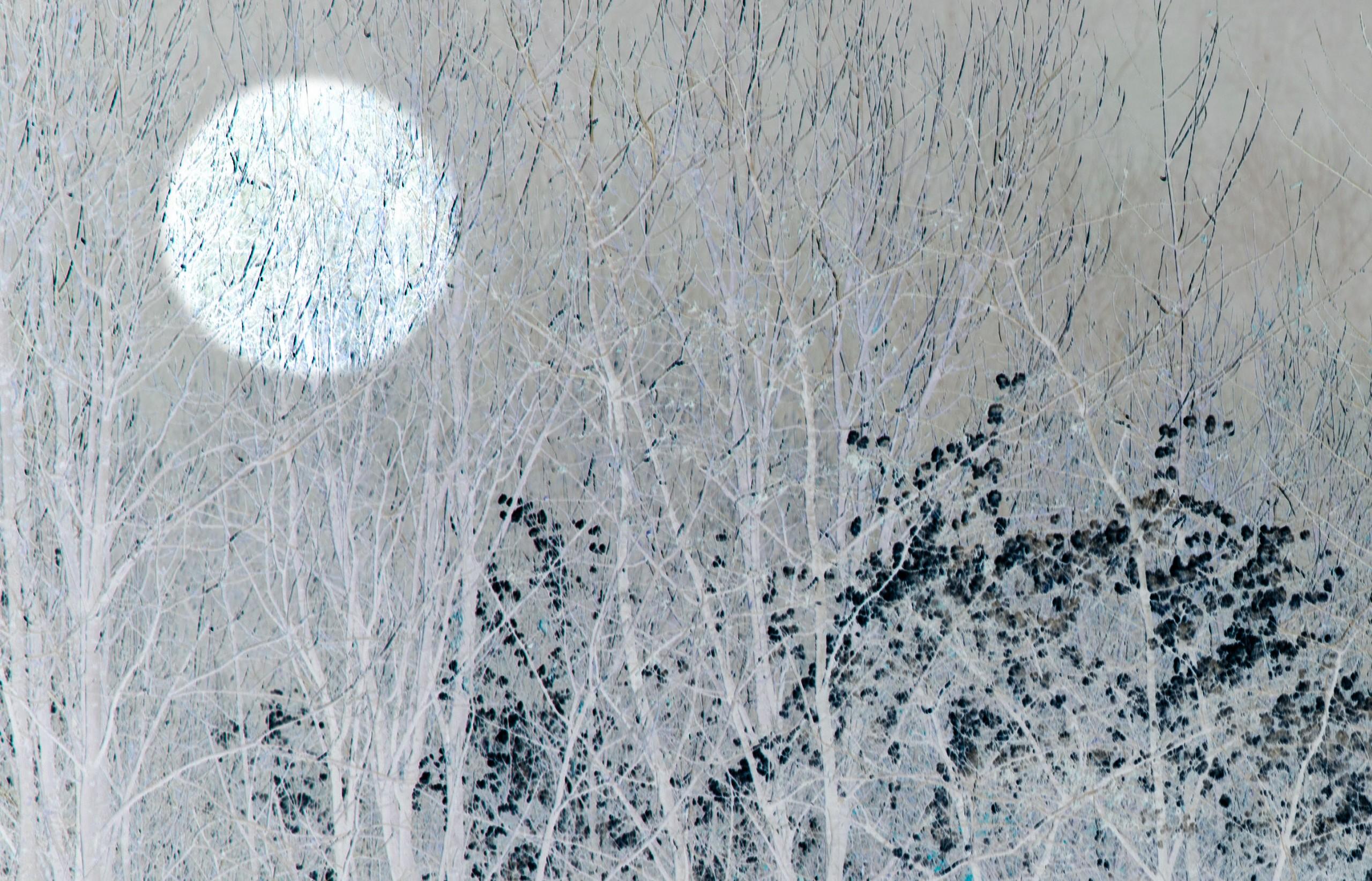 Sarah Brooks Print - Winter Moon 1