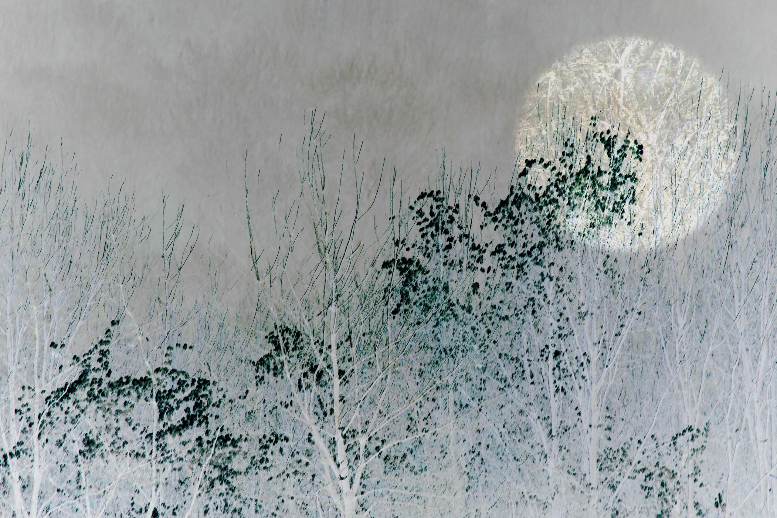 Winter moon 2, 3 and 4 - Realist Print by Sarah Brooks