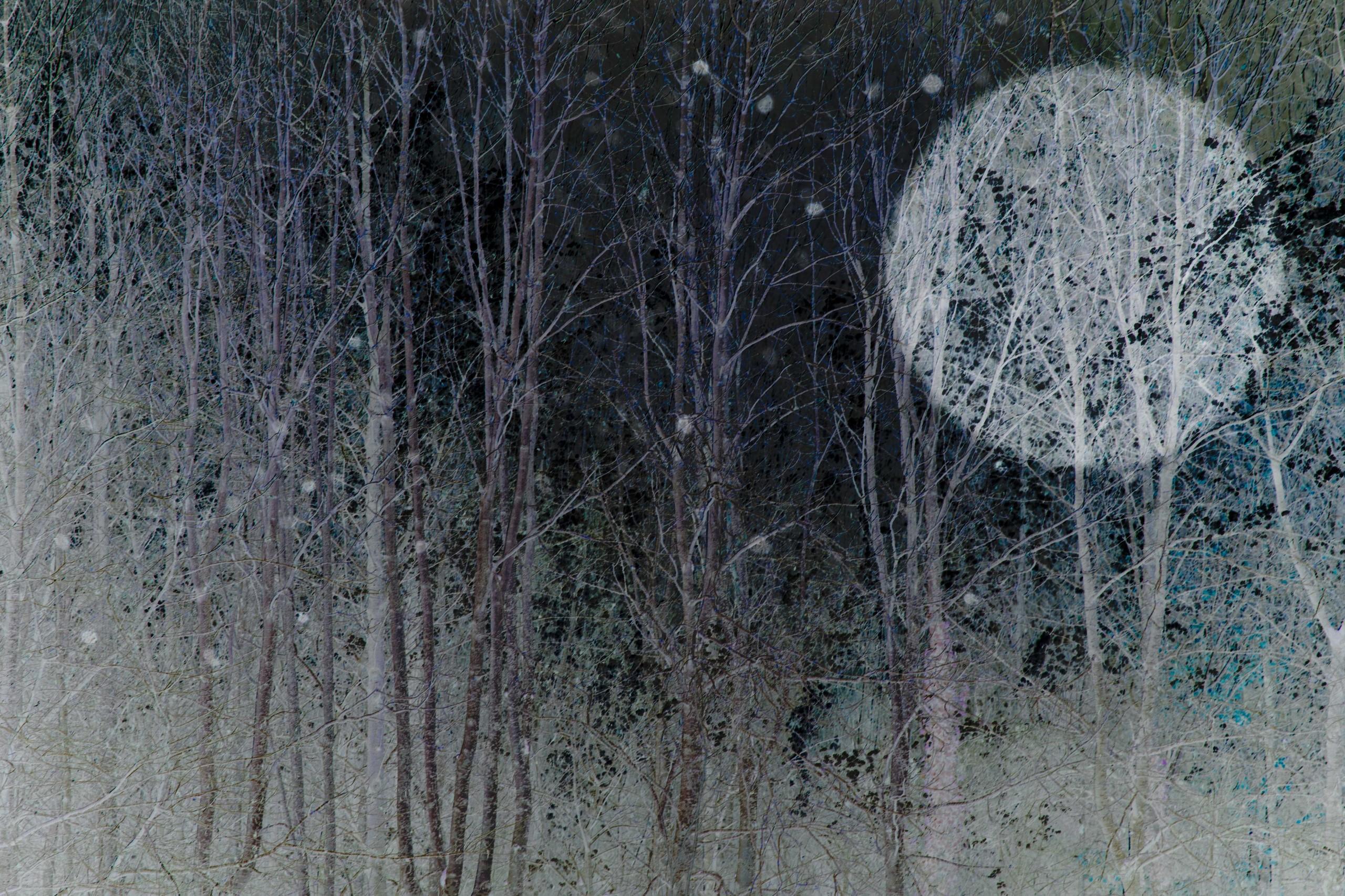 Sarah Brooks Print - Winter Moon 3