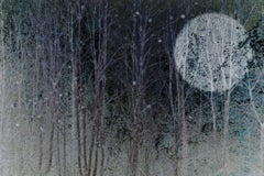 Winter Moon 3