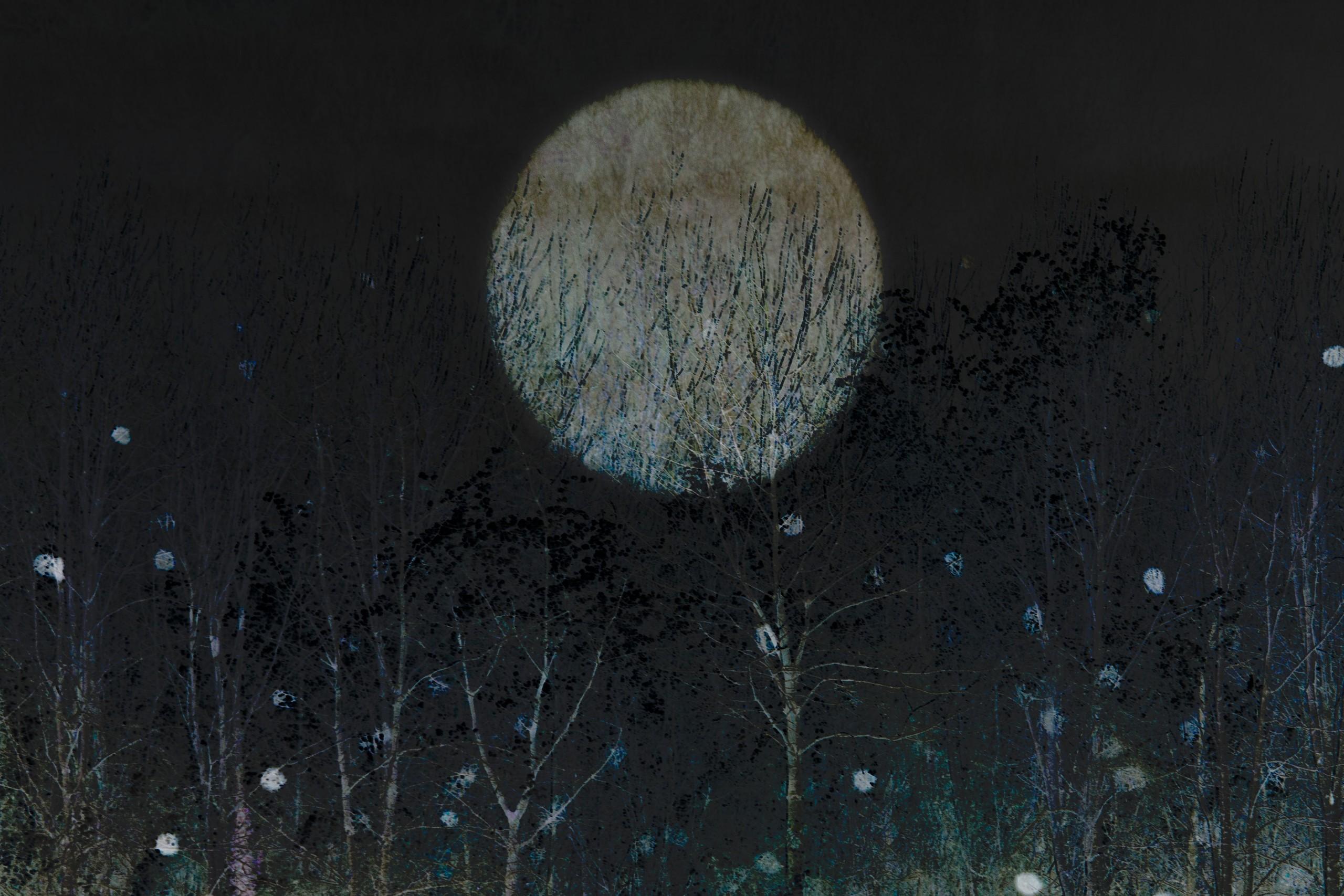 Sarah Brooks Landscape Print - Winter Moon 4