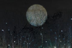 Winter Moon 4