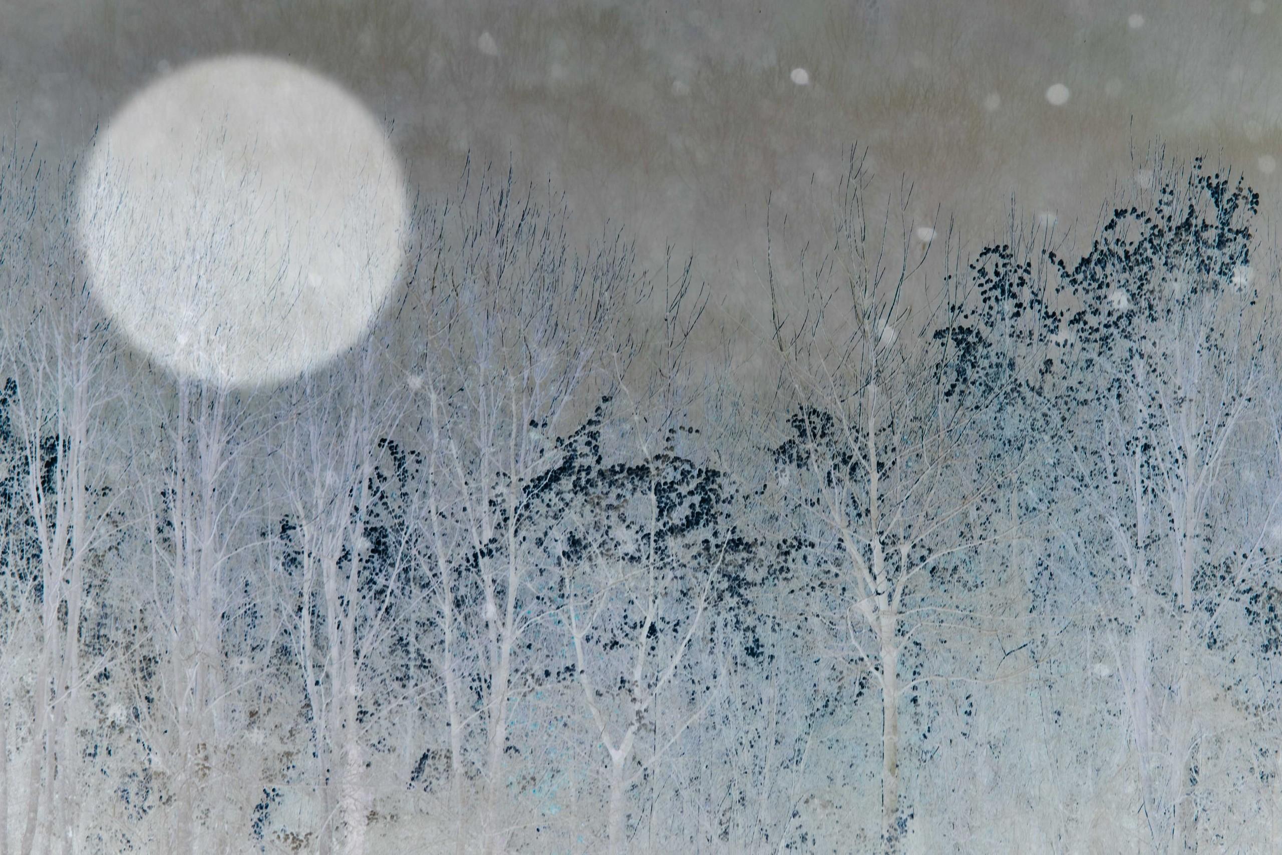 Winter Moon 5