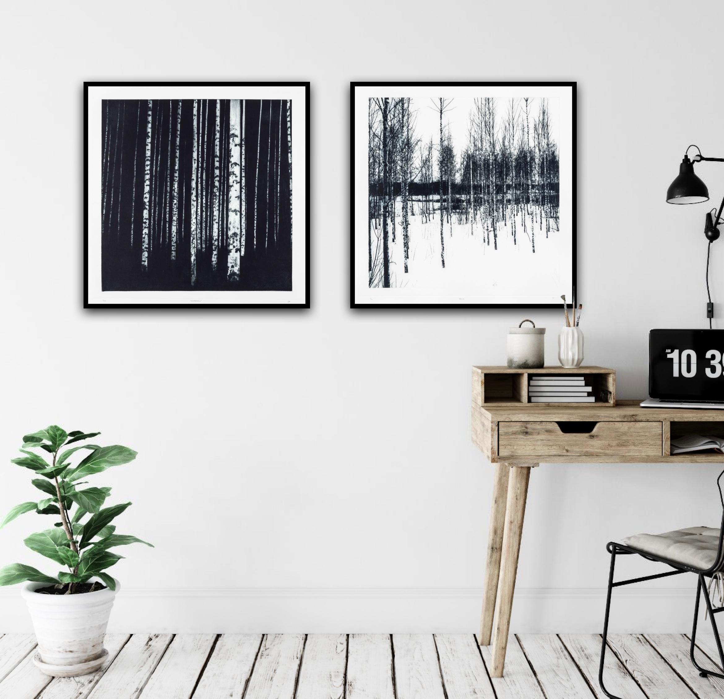 Carbonous and Neula diptych - Print by Sarah Duncan