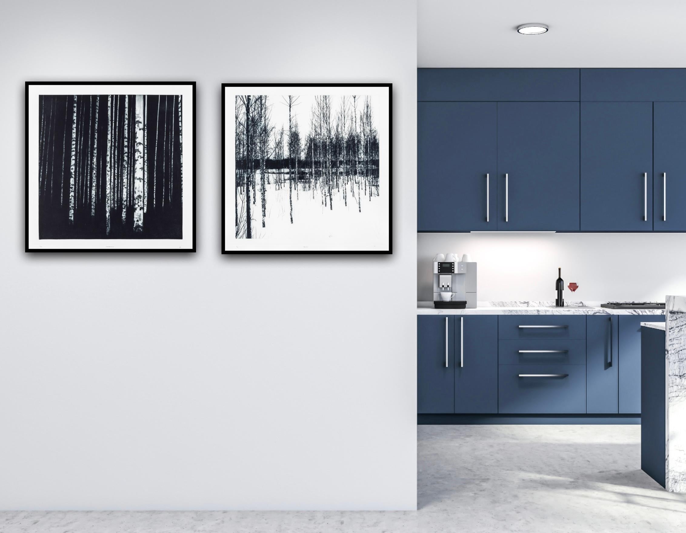 Carbonous and Neula diptych - Contemporary Print by Sarah Duncan