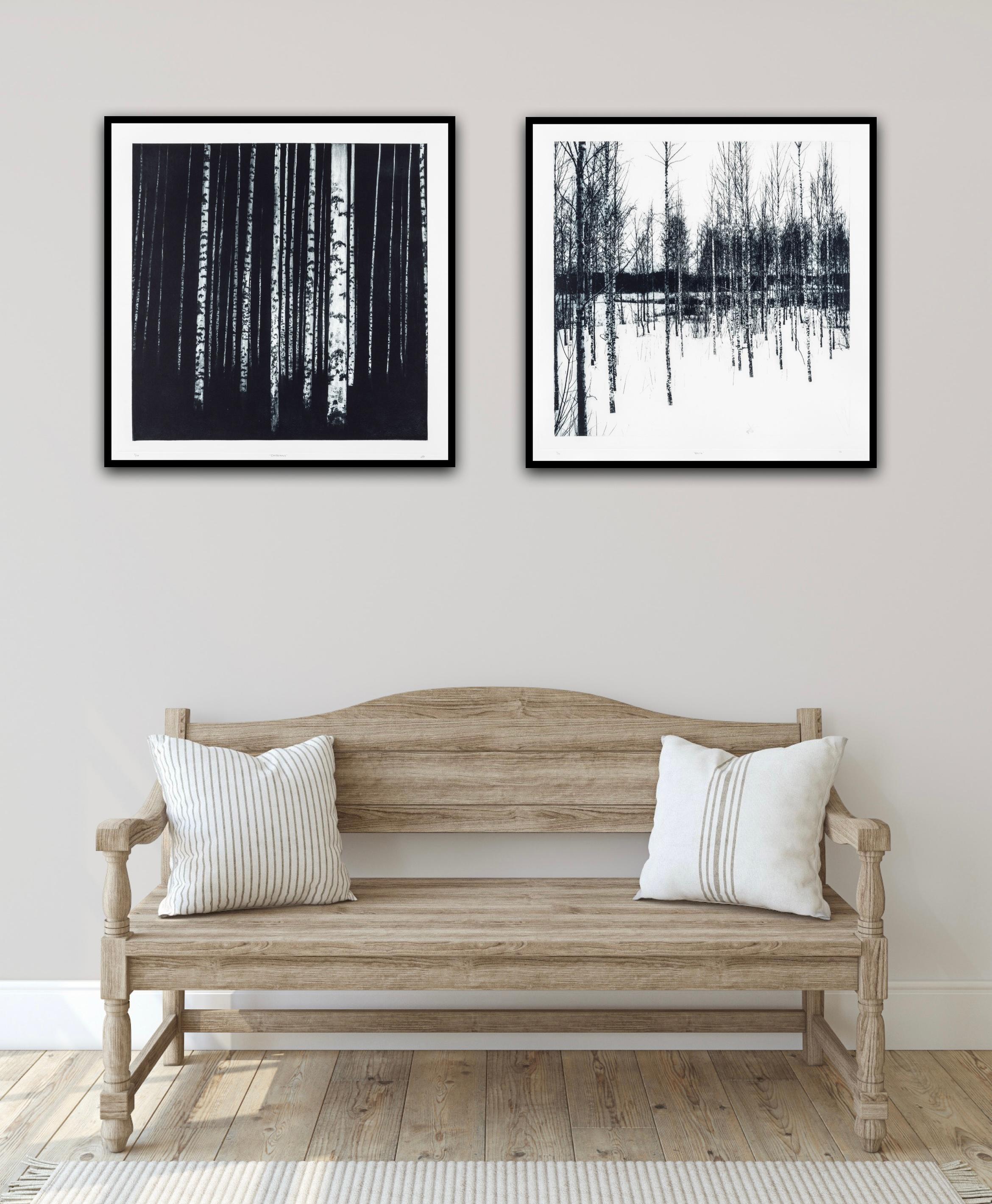 Carbonous and Neula diptych - Gray Landscape Print by Sarah Duncan