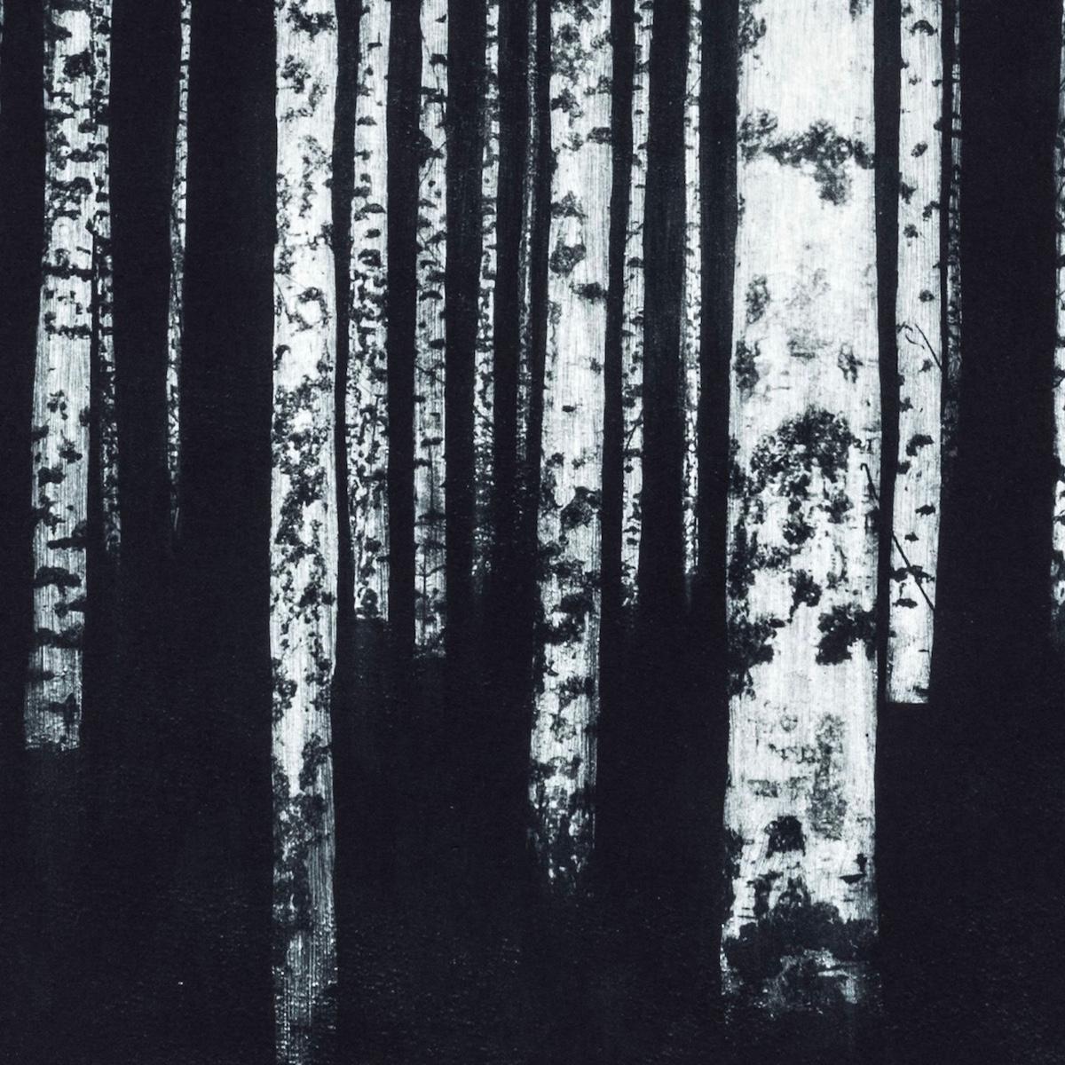 Carbonoso - Print Fotorrealista de Sarah Duncan
