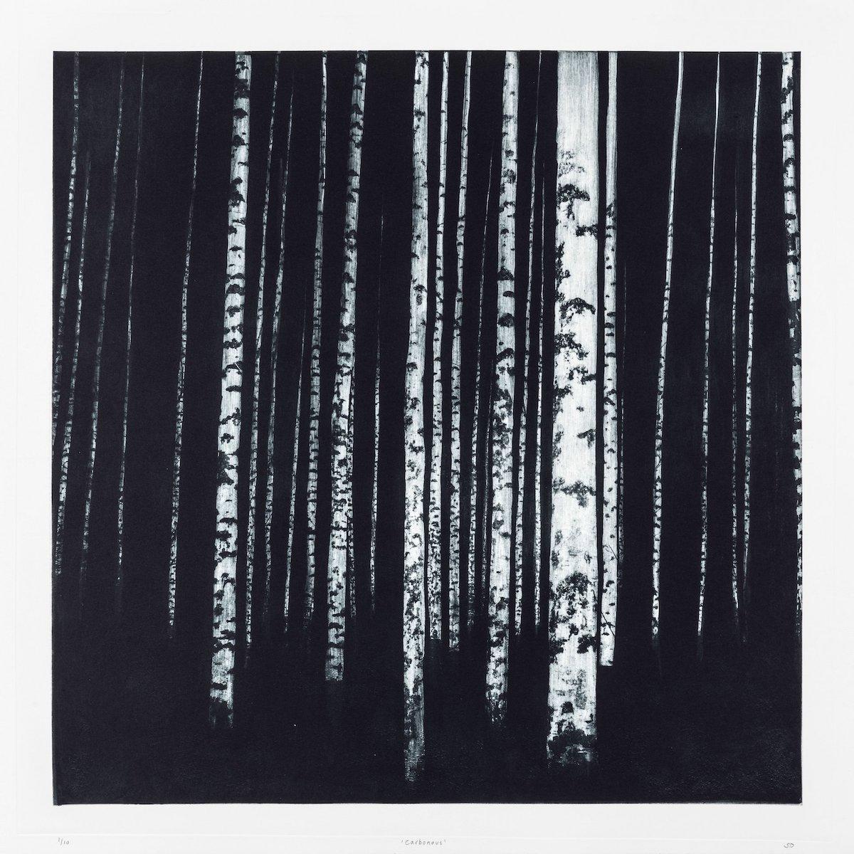 Landscape Print de Sarah Duncan - Carbonoso
