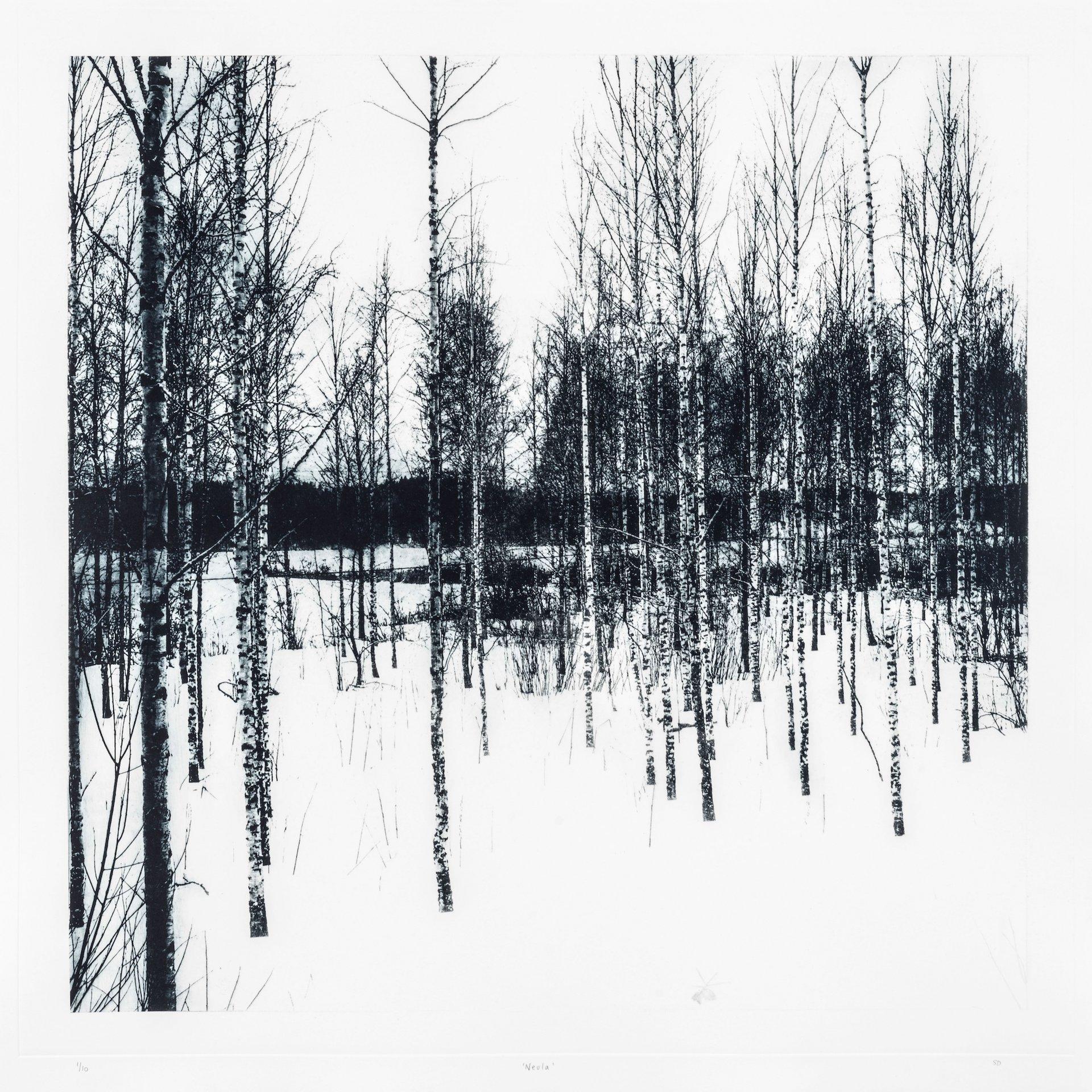 Neula, Waldkunst, Landschaft, Schwarz-Weiß-Holzland-Kunst, Monochrom-Kunstwerk (Grau), Landscape Print, von Sarah Duncan
