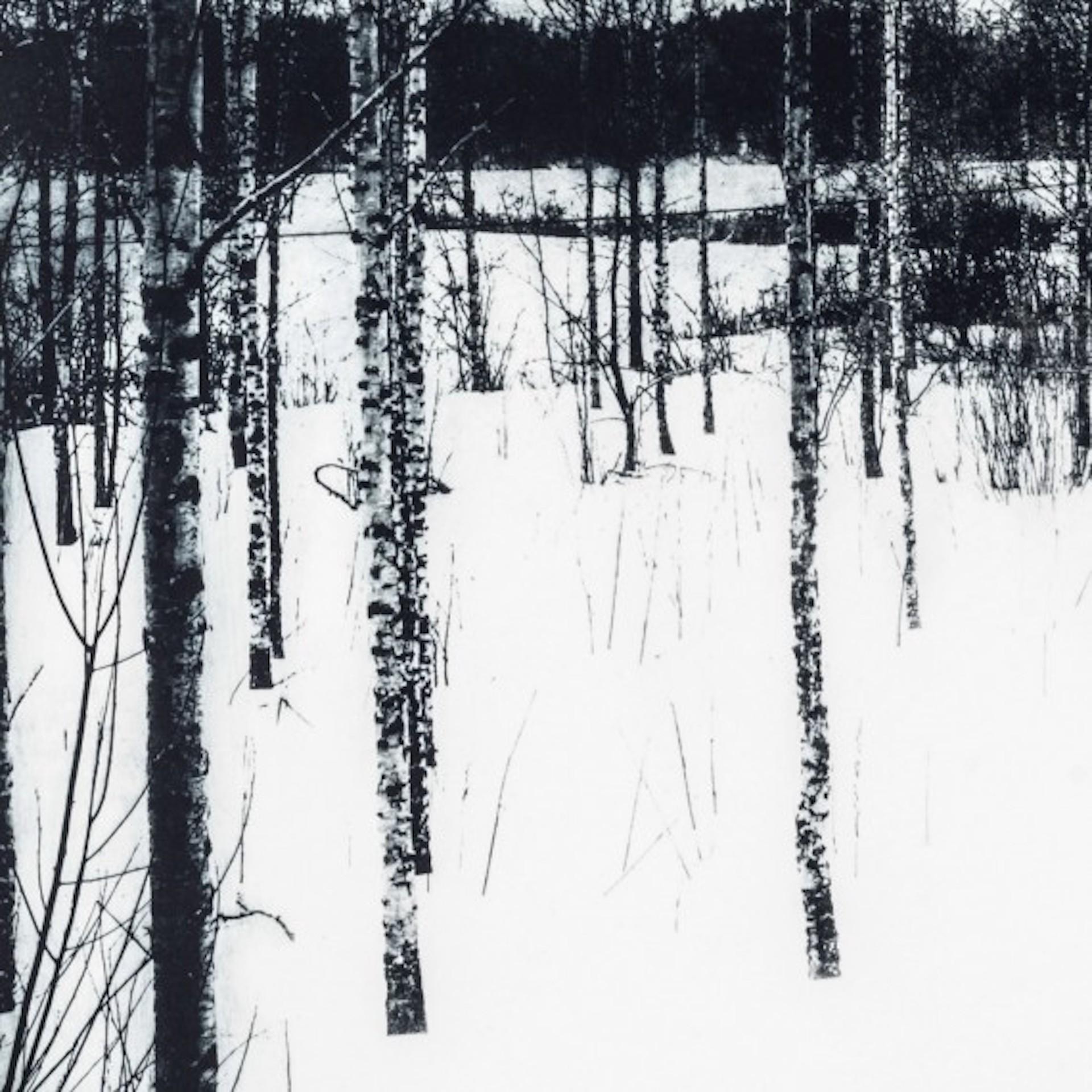 Neula ist eine signierte Radierung auf Papier von Sarah Duncan in limitierter Auflage, die einen schwarz-weiß verschneiten Wald im Winter mit kahlen Bäumen und Schnee auf dem Boden zeigt. Dieses Werk ist in einer limitierten Auflage von 10 Stück