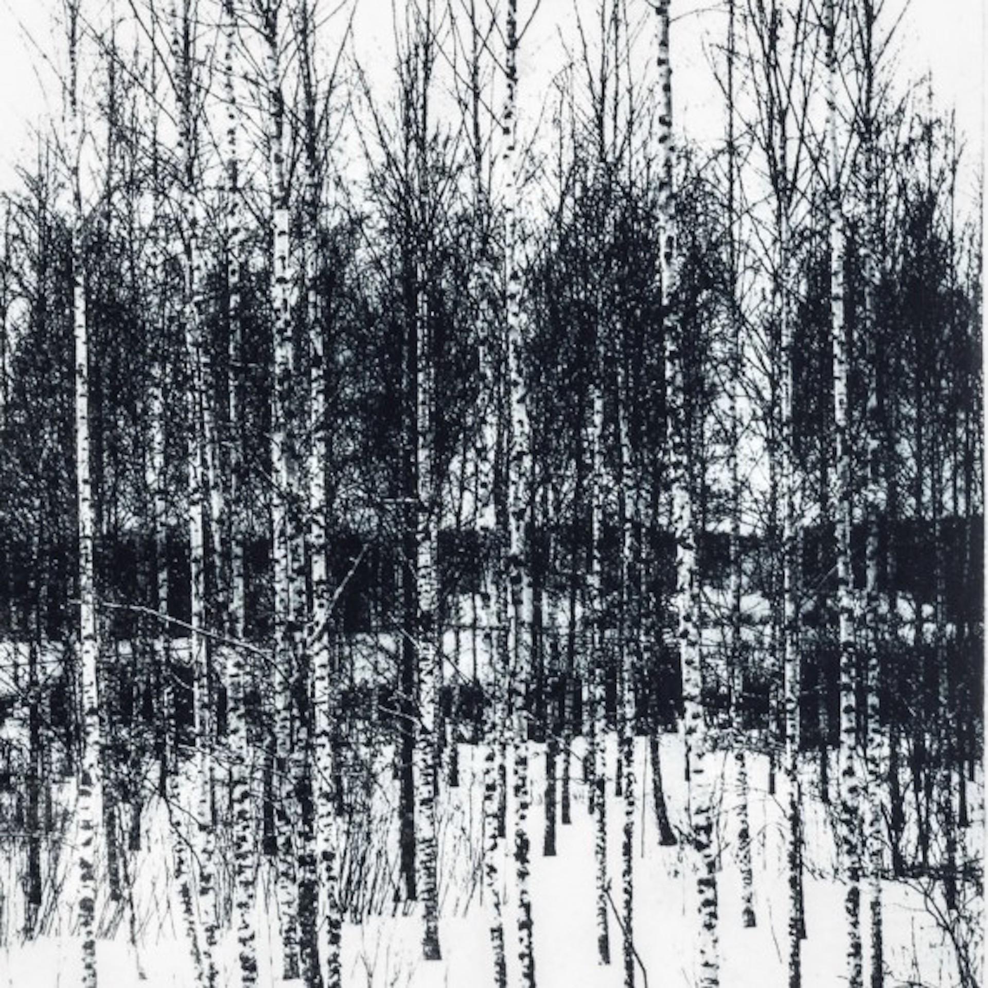 Neula, Forest Art, Landscape, Black and White Woodland Art, Monochrome Artwork For Sale 1