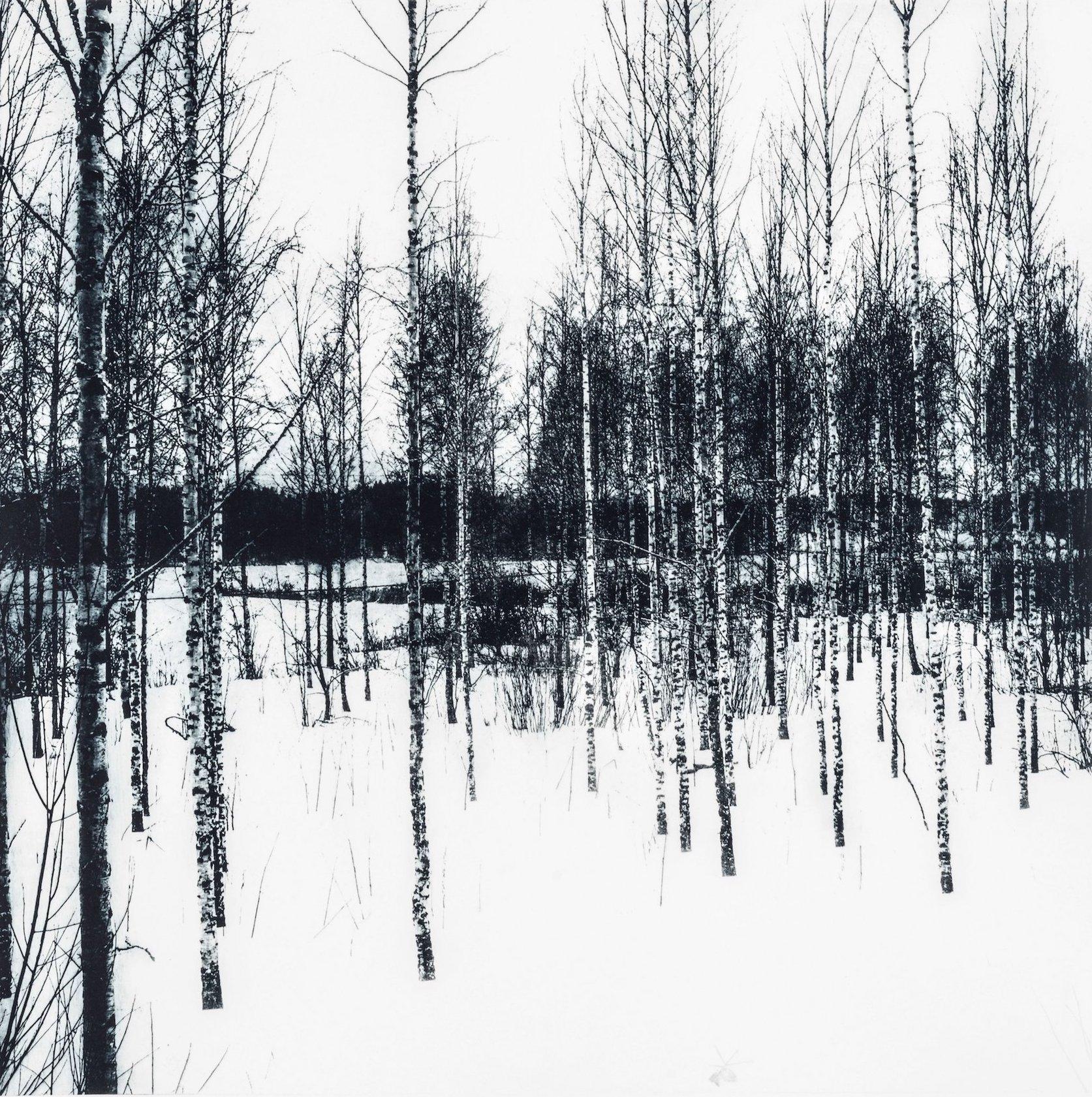 Neula, Art de la forêt, paysage, art des bois noirs et blancs, œuvre d'art monochrome