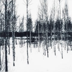 Neula, Forest Art, Landscape, Black and White Woodland Art, Monochrome Artwork