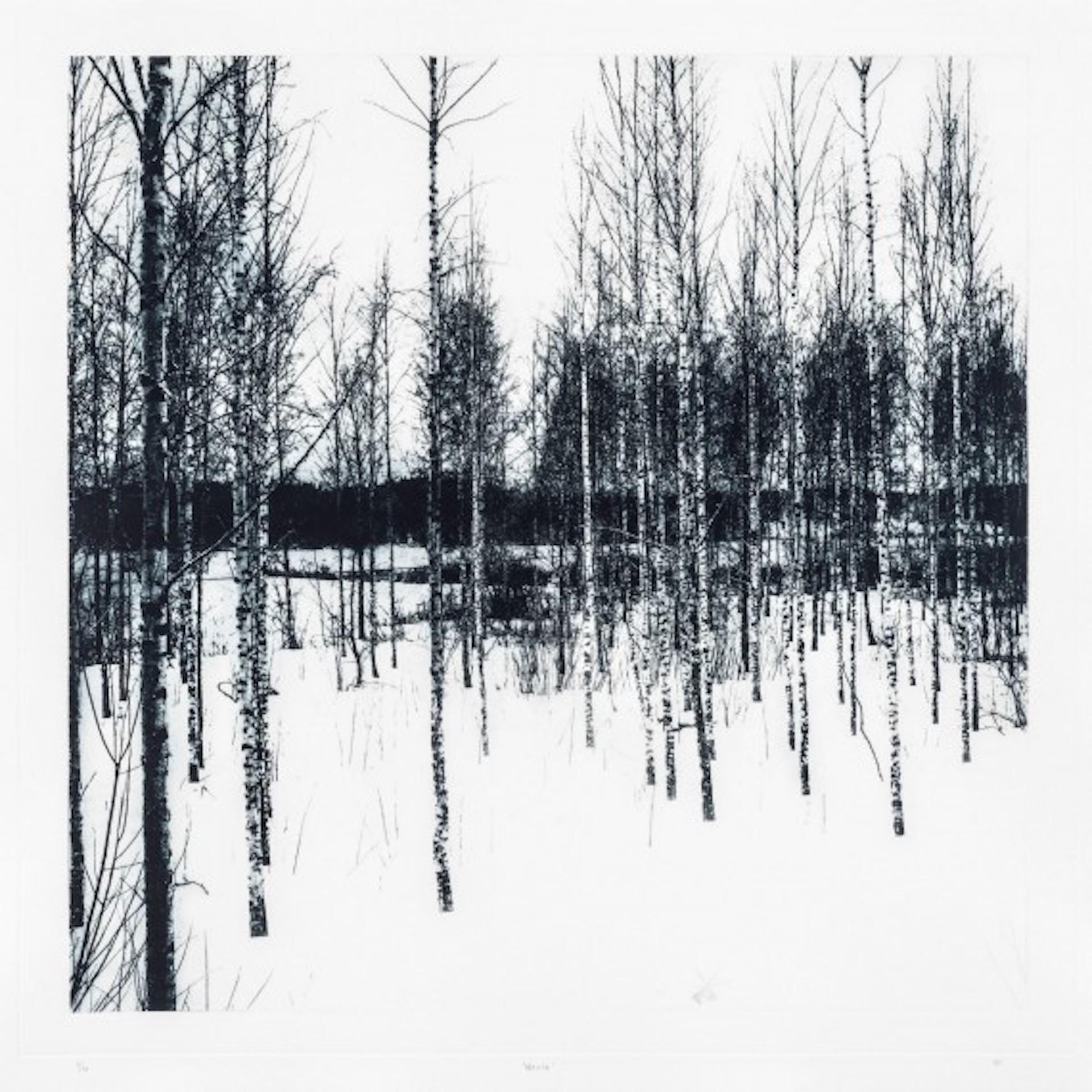 Neula, Sarah Duncan, Limited Edition Print, Forest Art, Landscape, Affordable