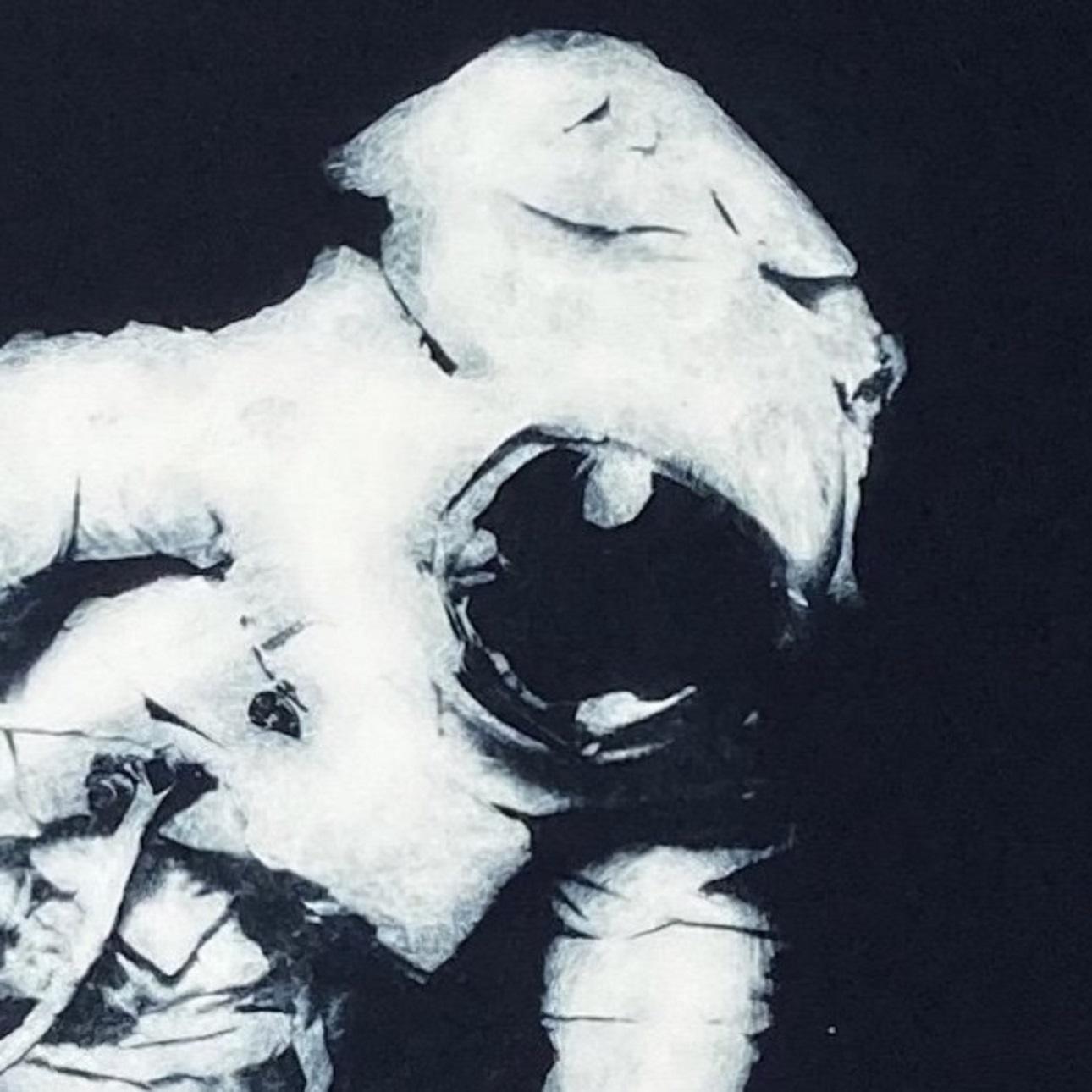 Space Walk, Limited edition still-life etching, Black and white print - Contemporary Print by Sarah Duncan