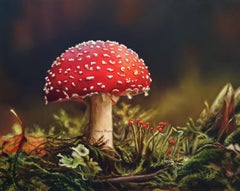 Amanita - original oil painting - contemporary  still life realism artwork