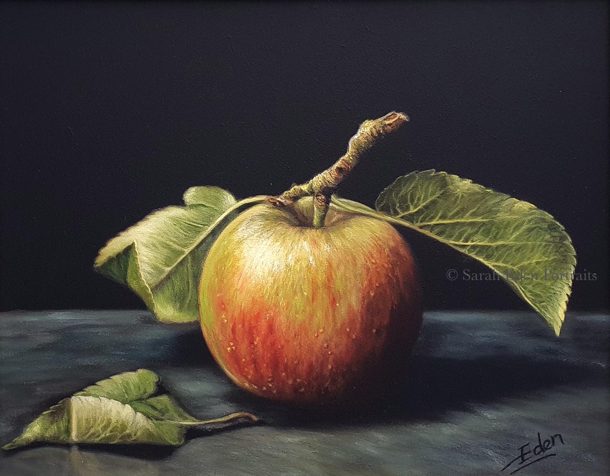 Undamaged - original still life oil painting - contemporary realism artwork - Painting de Sarah Eden