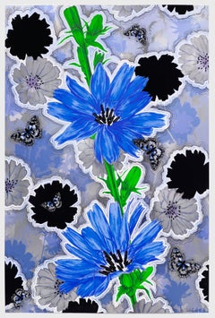 Chicory II