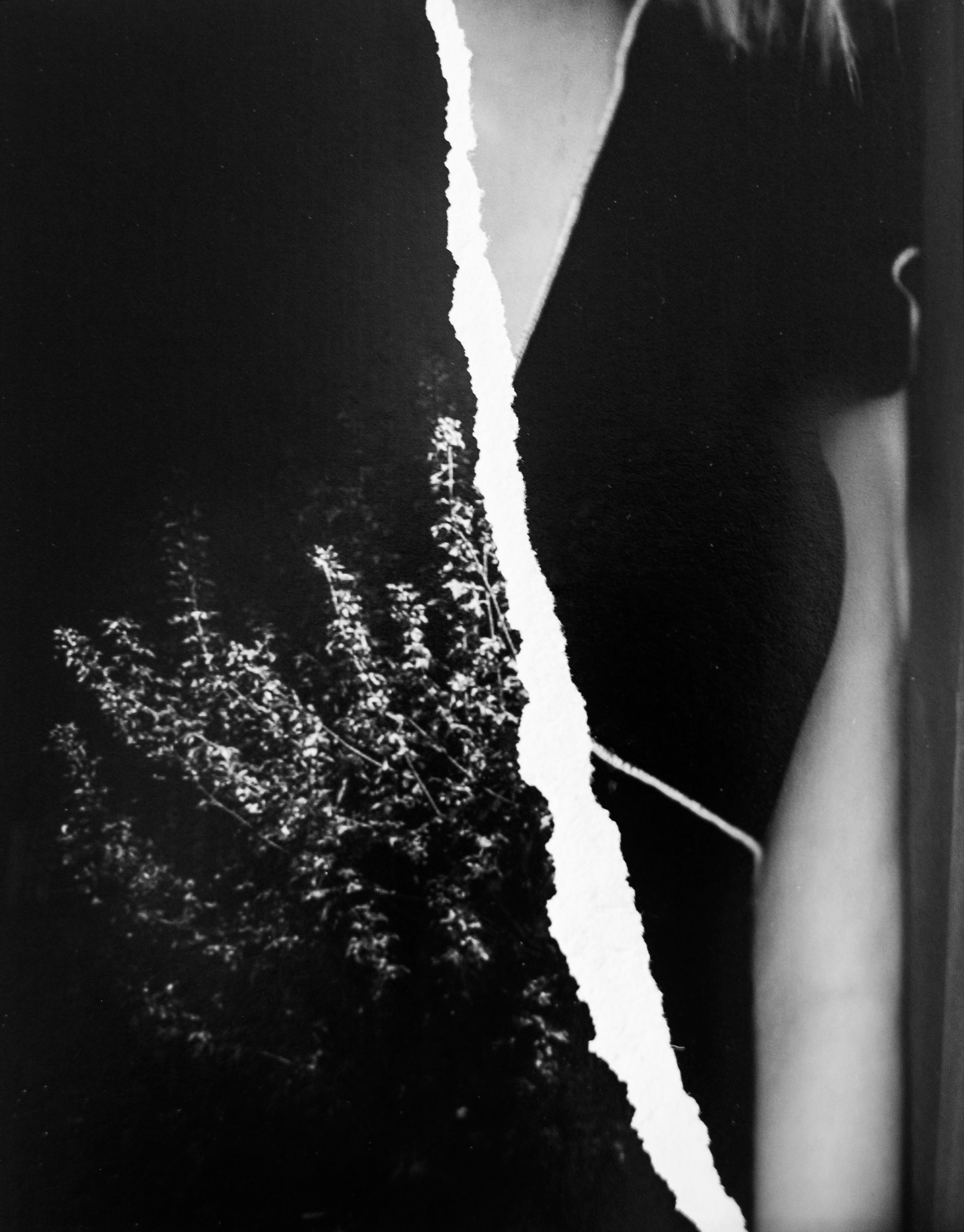 Figurative Photograph Sarah Hadley - Caché