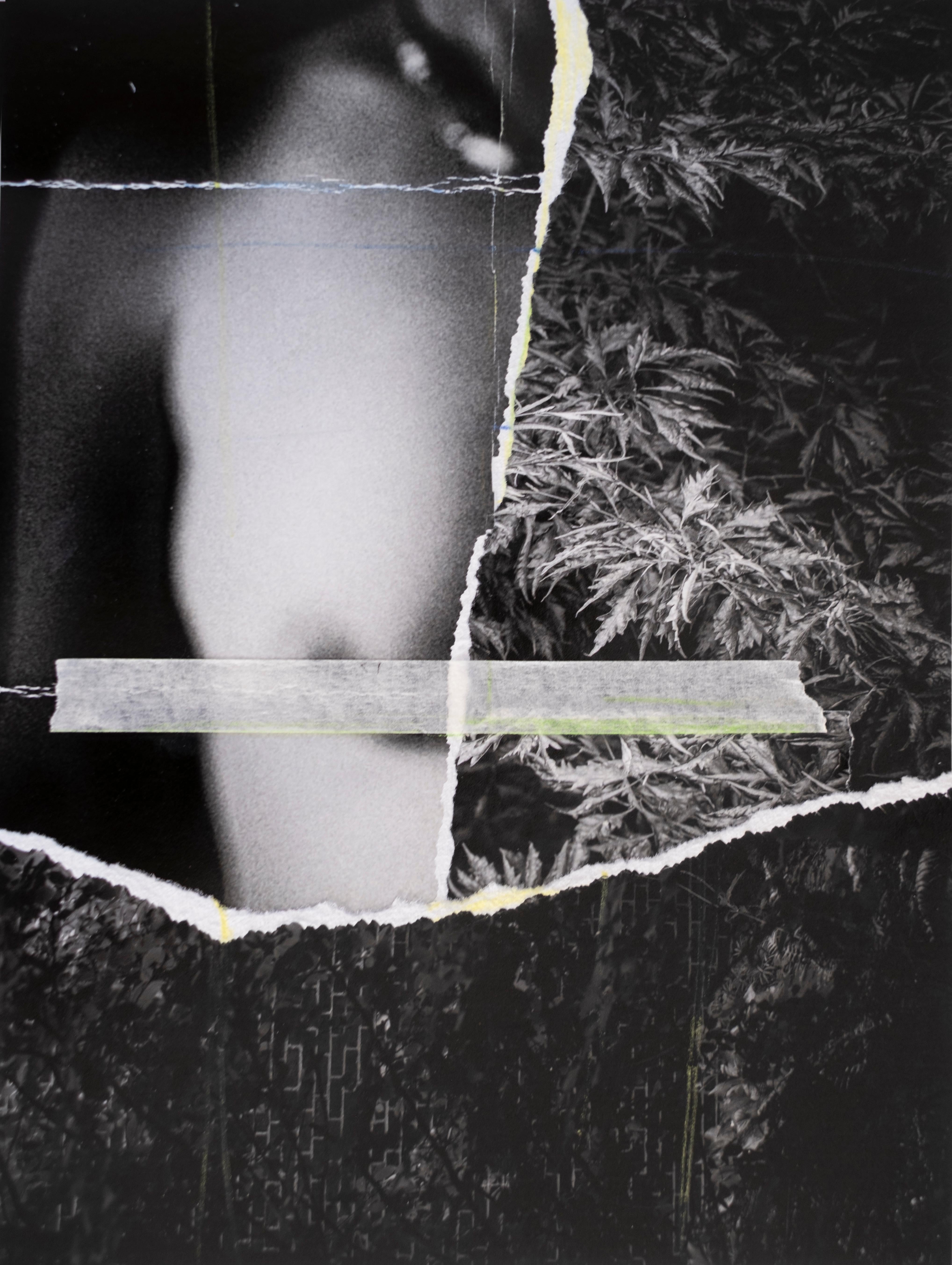 Pencil Figurative Photography