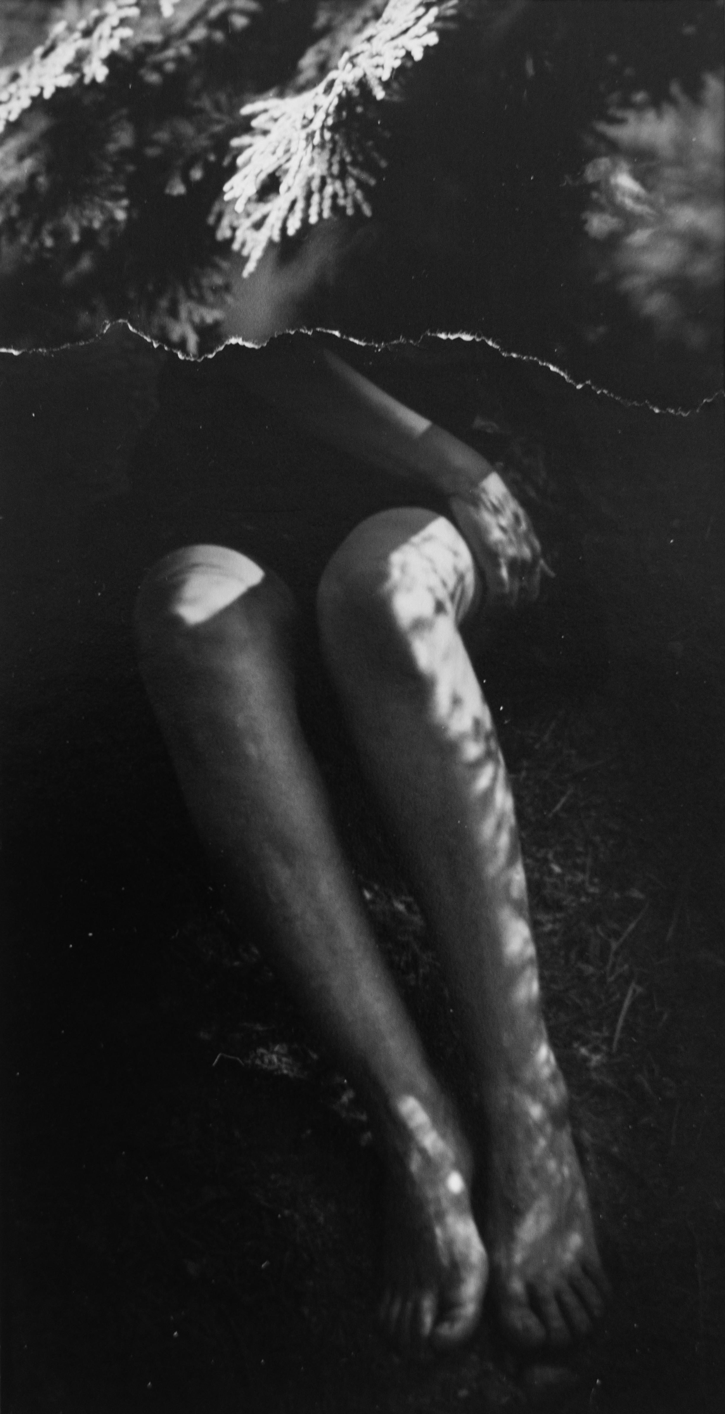 En attendant la Light