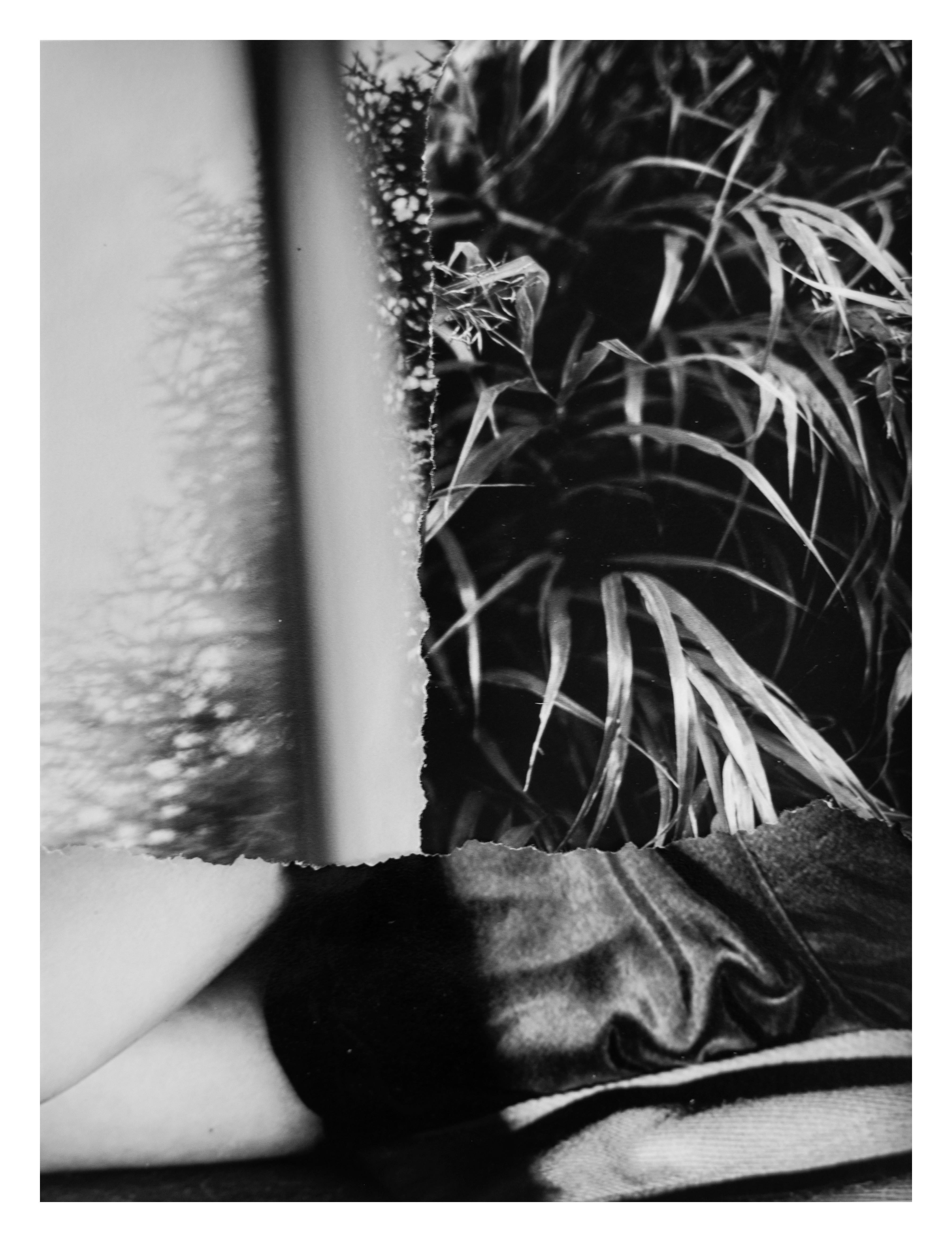 Framed Técnica mixta